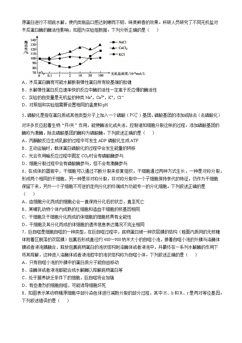 山东省菏泽市2024-2025学年高三上学期期中考试生物试卷（Word版附解析）第2页
