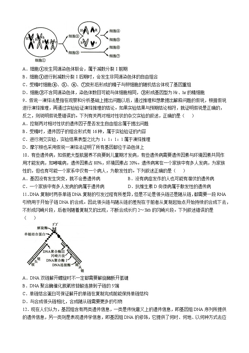 山东省菏泽市2024-2025学年高三上学期期中考试生物试卷（Word版附解析）第3页