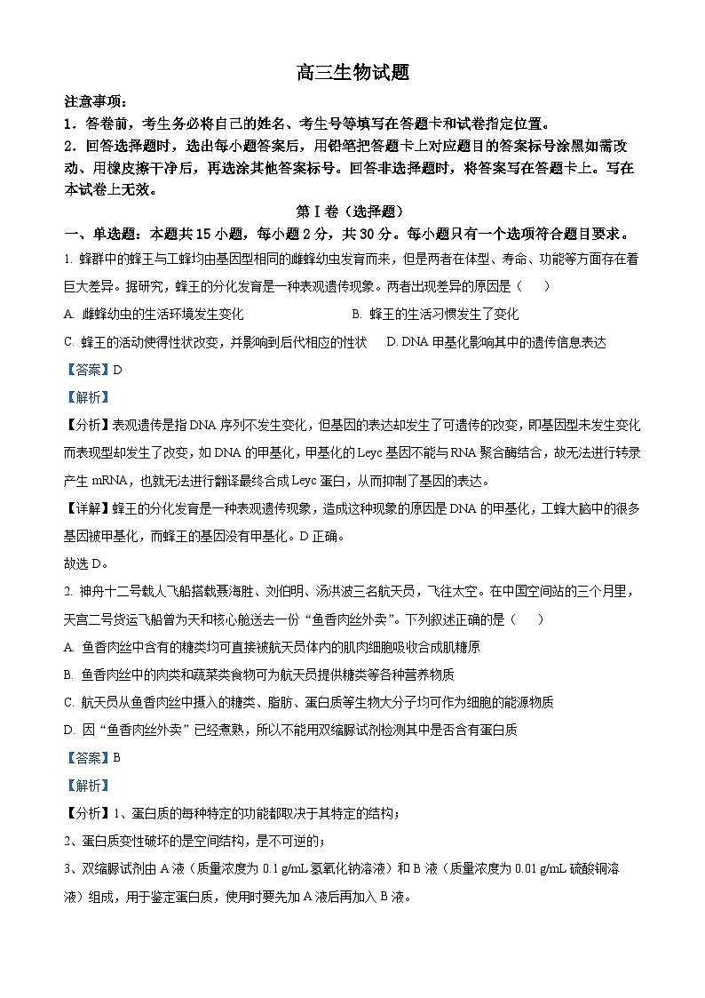 山东省菏泽市鄄城县第一中学2025届高三上学期10月月考生物试题word版含解析第1页