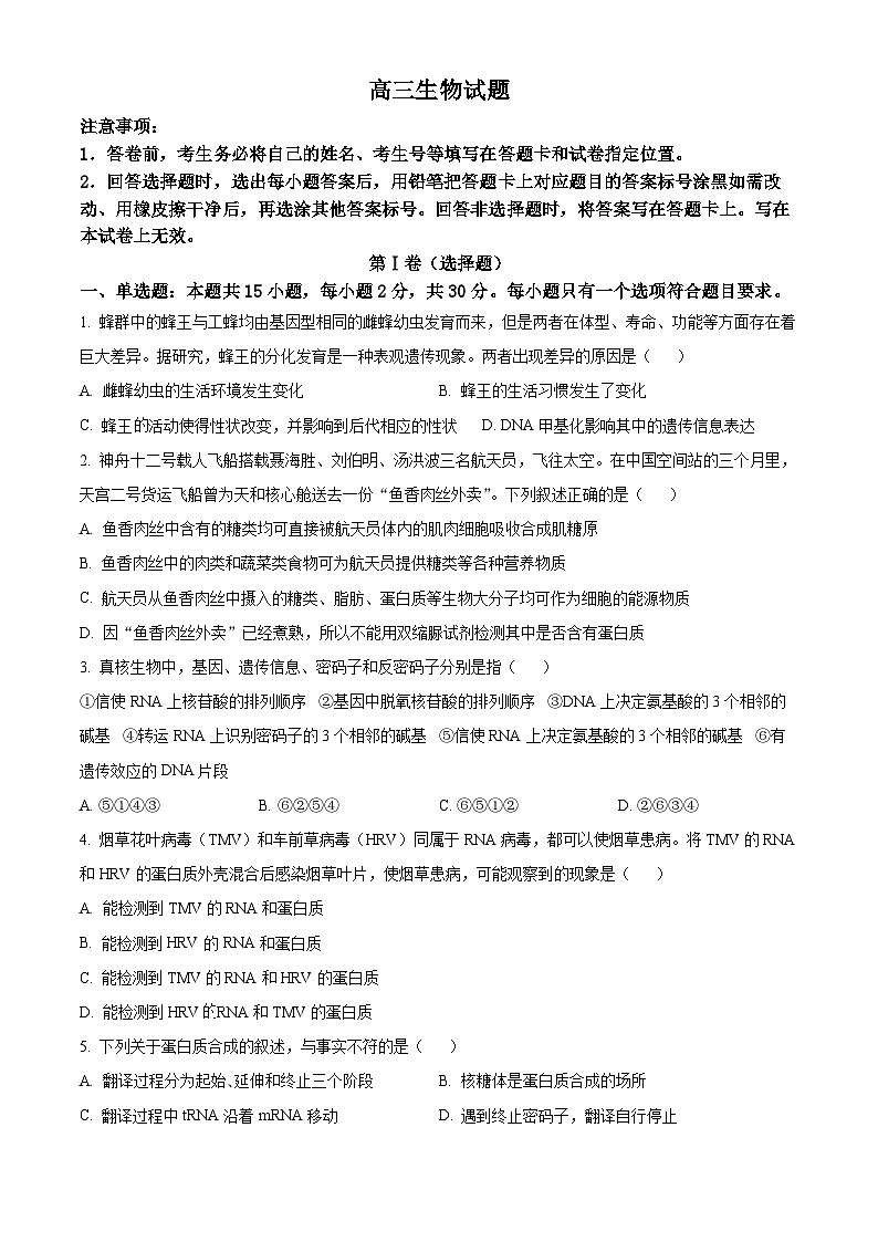 山东省菏泽市鄄城县第一中学2025届高三上学期10月月考生物试题第1页