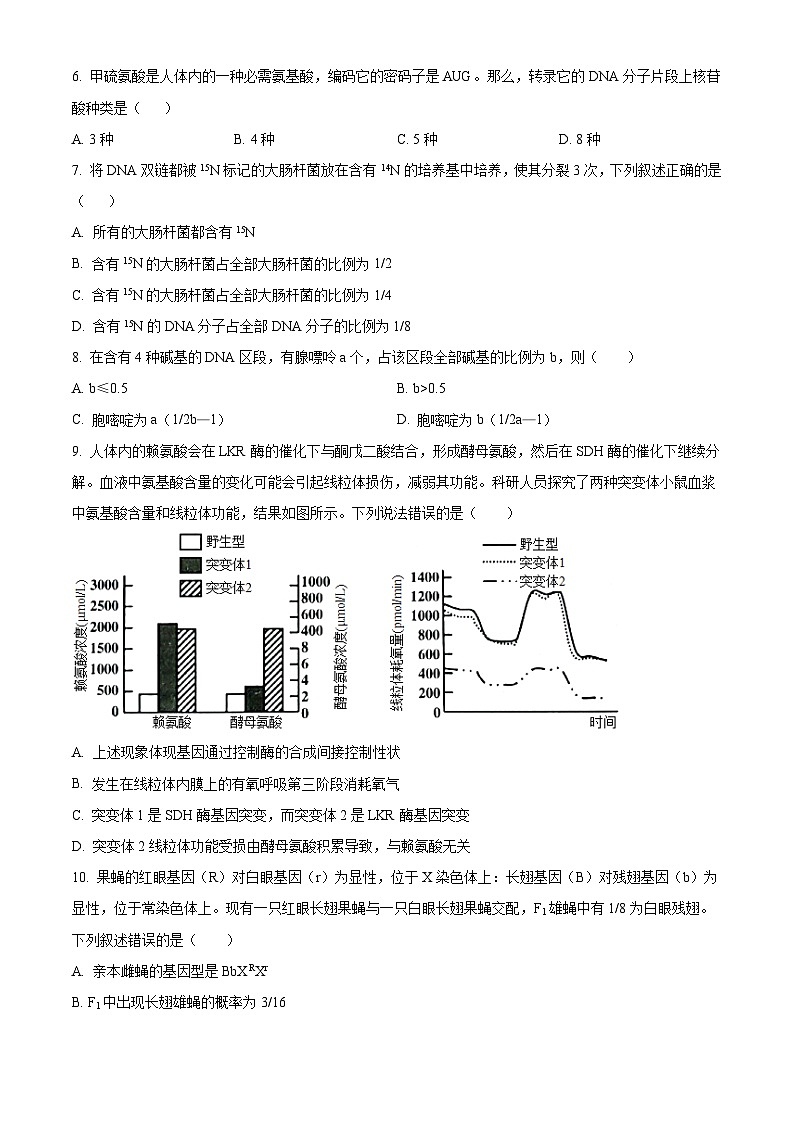 山东省菏泽市鄄城县第一中学2025届高三上学期10月月考生物试题第2页
