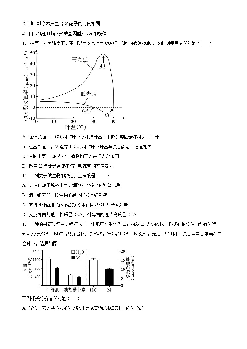 山东省菏泽市鄄城县第一中学2025届高三上学期10月月考生物试题第3页