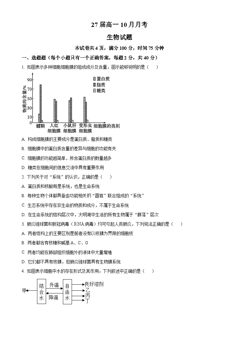 四川省眉山市仁寿县第一中学校（北校区）2024-2025学年高一上学期10月月考生物试题 Word版无答案第1页