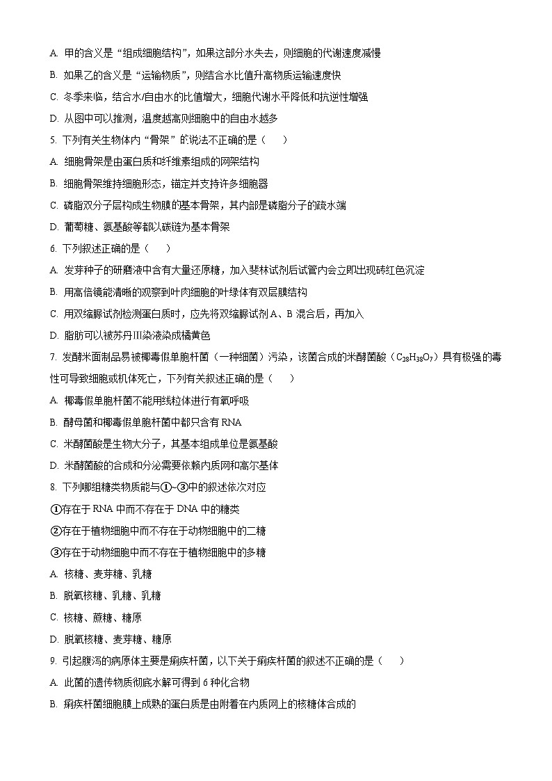 四川省眉山市仁寿县第一中学校（北校区）2024-2025学年高一上学期10月月考生物试题 Word版无答案第2页