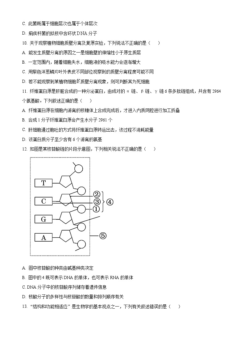 四川省眉山市仁寿县第一中学校（北校区）2024-2025学年高一上学期10月月考生物试题 Word版无答案第3页