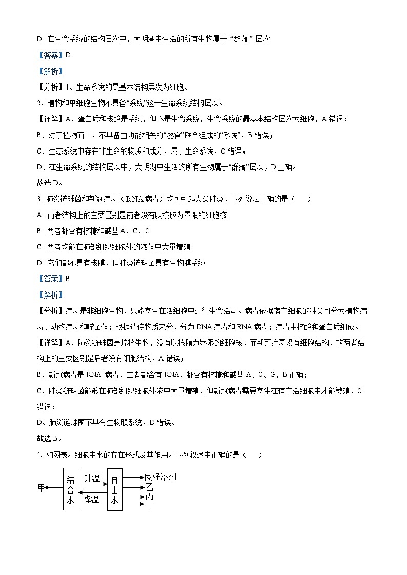 四川省眉山市仁寿县第一中学校（北校区）2024-2025学年高一上学期10月月考生物试题 Word版含解析第2页