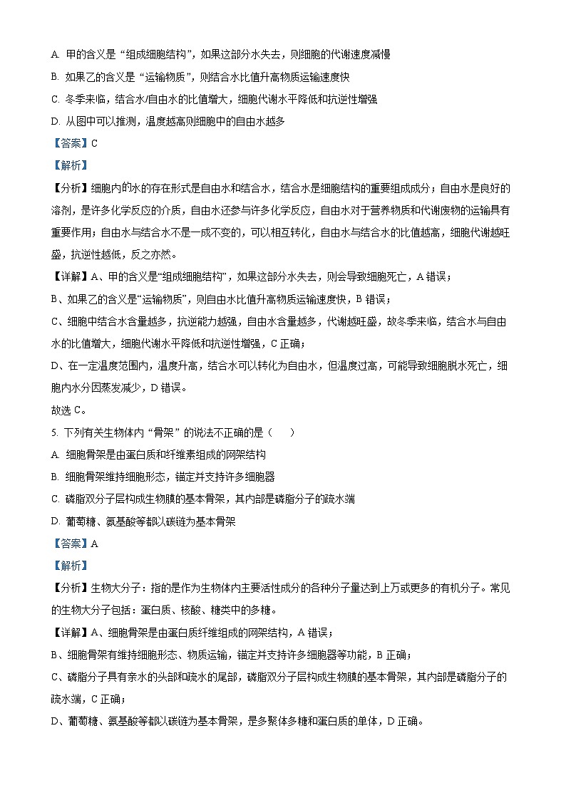 四川省眉山市仁寿县第一中学校（北校区）2024-2025学年高一上学期10月月考生物试题 Word版含解析第3页