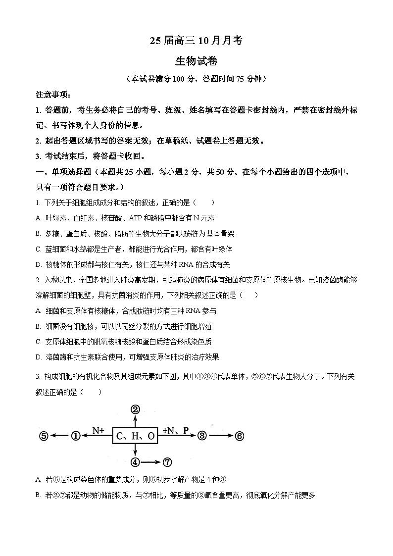 四川省眉山市仁寿县第一中学南校区2024-2025学年高三上学期10月月考生物试卷（Word版附解析）01