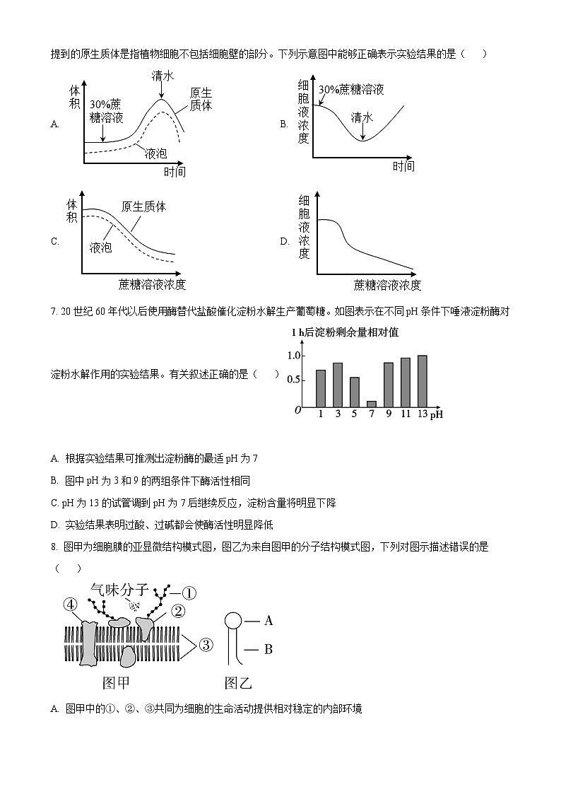 四川省眉山市仁寿县第一中学南校区2024-2025学年高三上学期10月月考生物试卷（Word版附解析）03