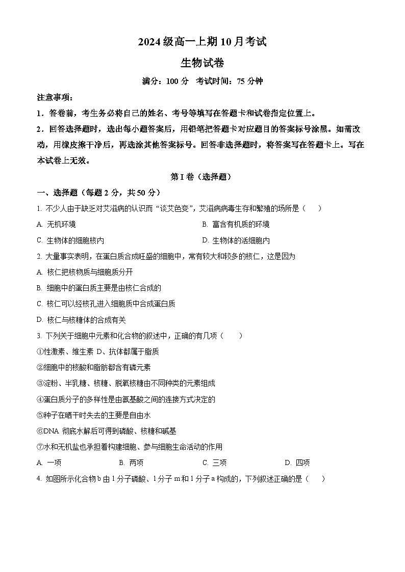 四川省眉山市仁寿县仁寿第一中学校南校区2024-2025学年高一上学期10月月考生物试题 Word版无答案第1页