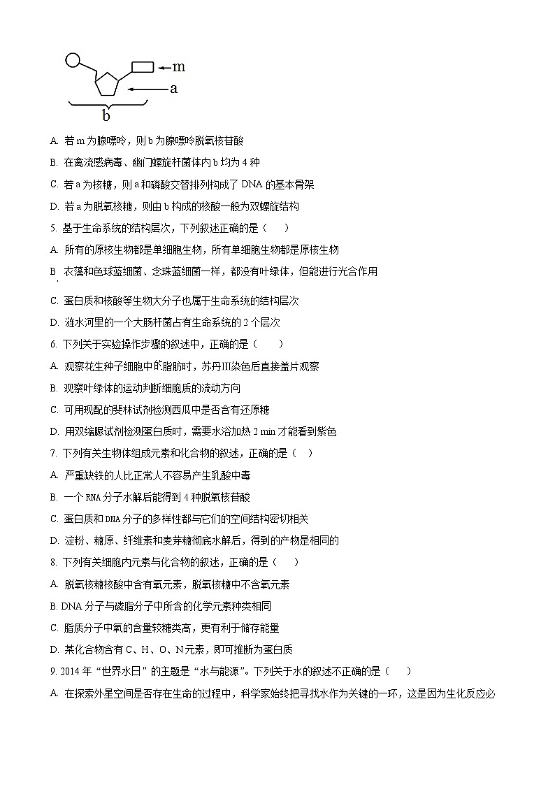四川省眉山市仁寿县仁寿第一中学校南校区2024-2025学年高一上学期10月月考生物试题 Word版无答案第2页