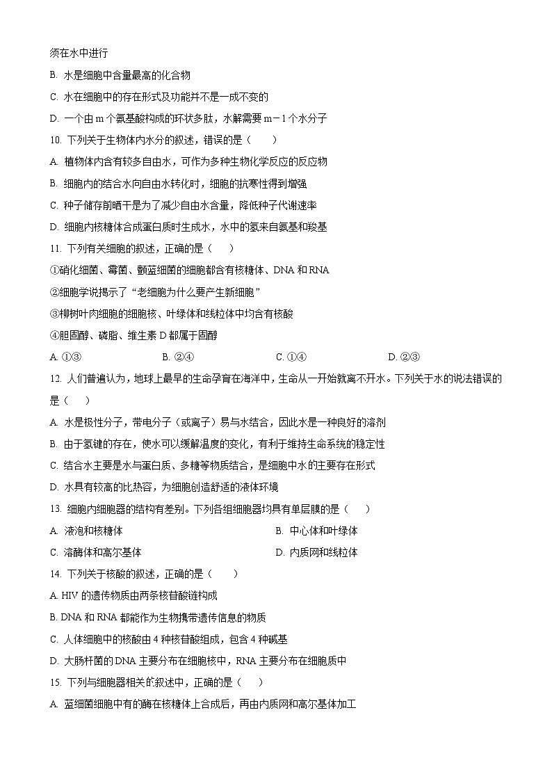四川省眉山市仁寿县仁寿第一中学校南校区2024-2025学年高一上学期10月月考生物试题 Word版无答案第3页