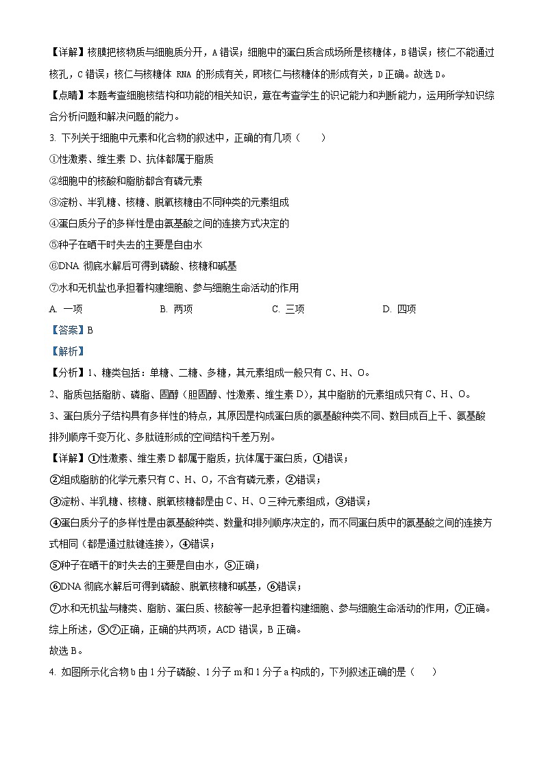四川省眉山市仁寿县仁寿第一中学校南校区2024-2025学年高一上学期10月月考生物试题 Word版含解析第2页