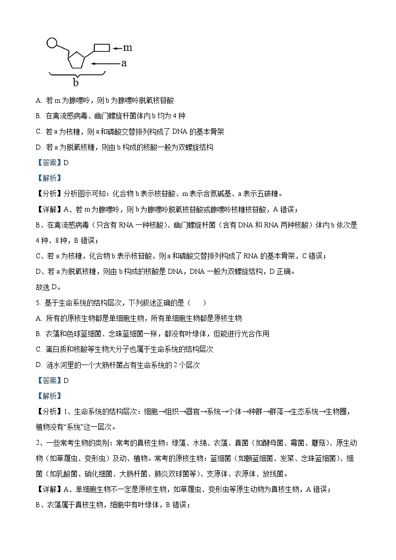 四川省眉山市仁寿县仁寿第一中学校南校区2024-2025学年高一上学期10月月考生物试题 Word版含解析第3页