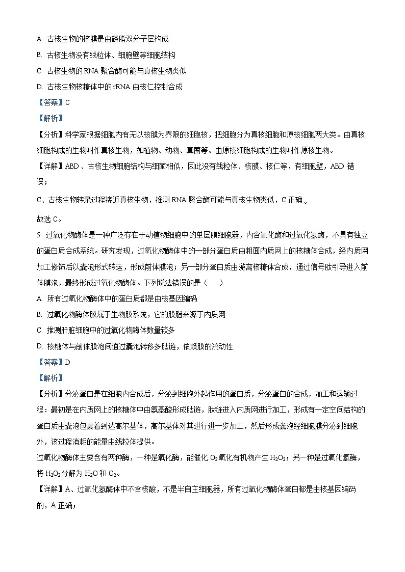 四川省绵阳中学2024-2025学年高三上学期高考适应性月考卷 (一) 生物试题 Word版含解析第3页