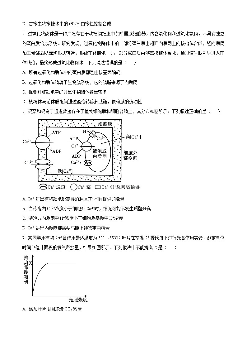 四川省绵阳中学2024-2025学年高三上学期高考适应性月考卷 (一) 生物试题 Word版无答案第2页