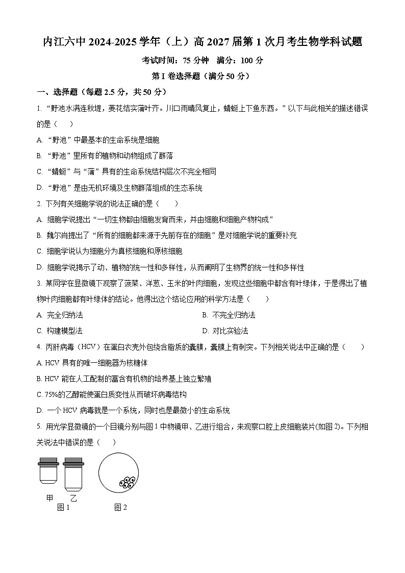四川省内江市第六中学2024-2025学年高一上学期第一次月考生物试卷  Word版无答案第1页
