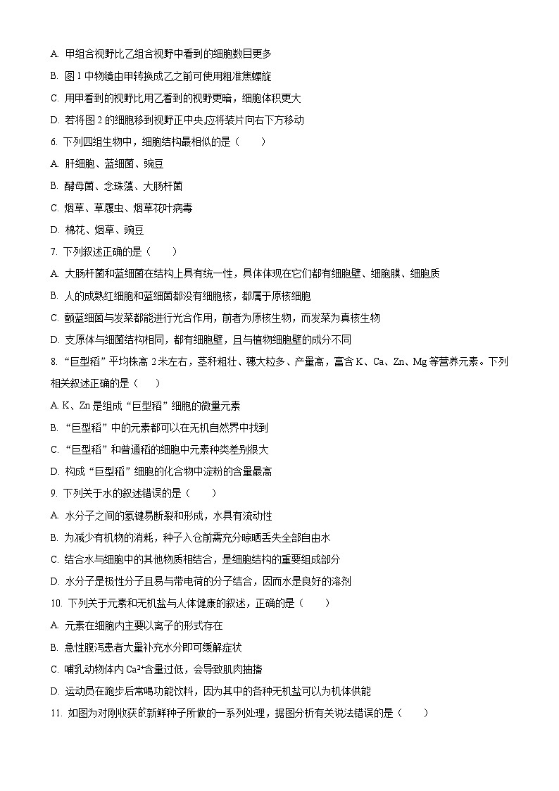 四川省内江市第六中学2024-2025学年高一上学期第一次月考生物试卷  Word版无答案第2页