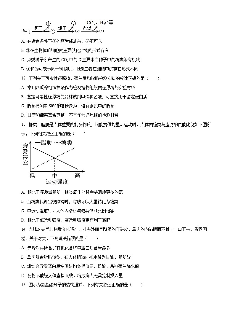 四川省内江市第六中学2024-2025学年高一上学期第一次月考生物试卷  Word版无答案第3页
