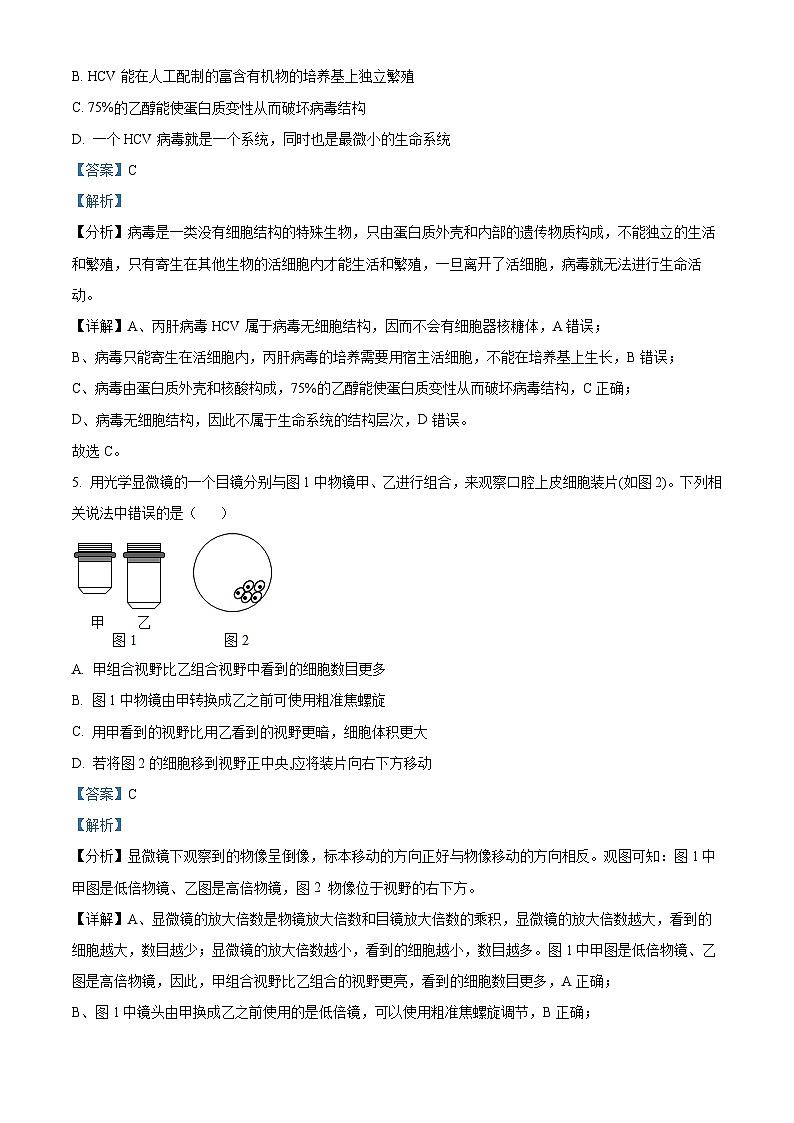 四川省内江市第六中学2024-2025学年高一上学期第一次月考生物试卷  Word版含解析第3页