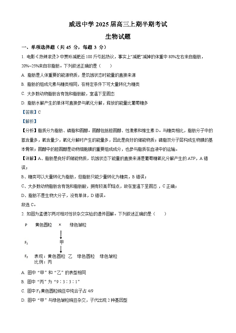 四川省内江市威远中学2024-2025学年高三上学期期中考试生物试卷（Word版附解析）01