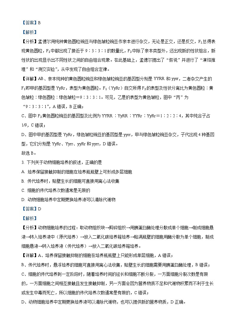 四川省内江市威远中学2024-2025学年高三上学期期中考试生物试卷（Word版附解析）02