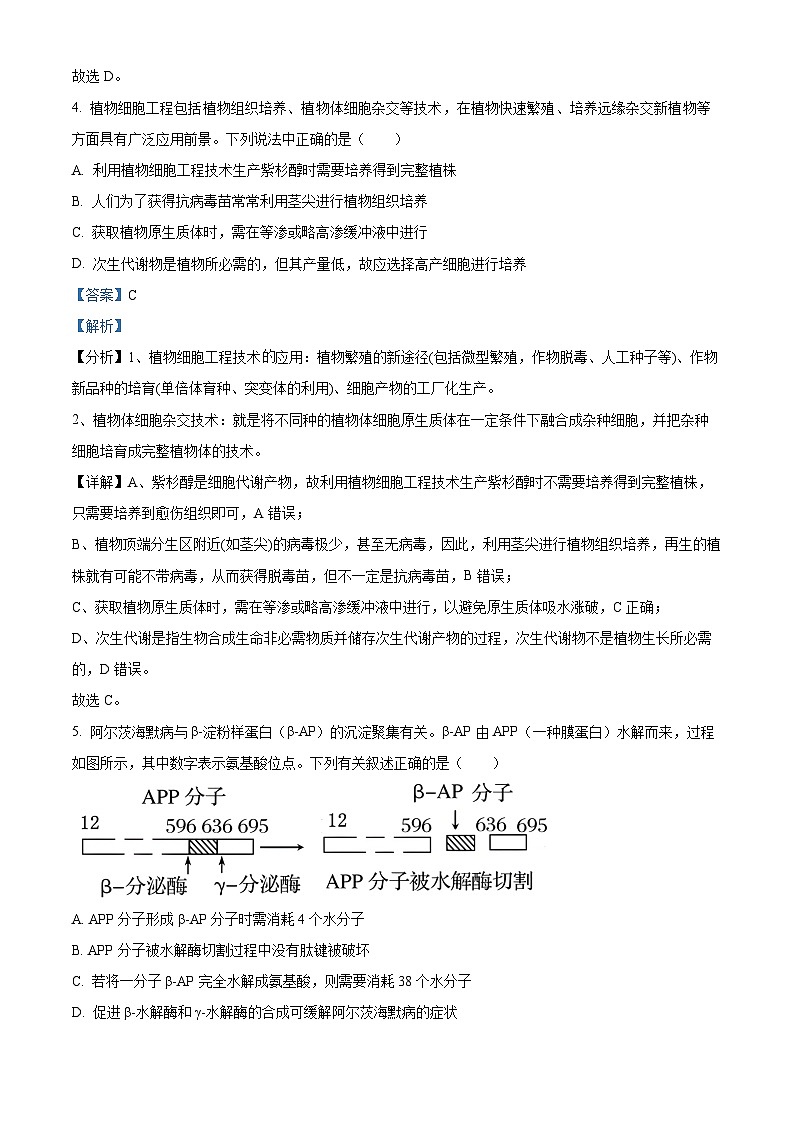 四川省内江市威远中学2024-2025学年高三上学期期中考试生物试卷（Word版附解析）03