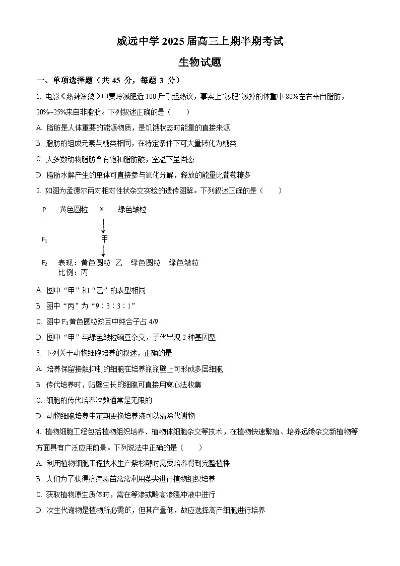四川省内江市威远中学2024-2025学年高三上学期期中考试生物试卷（Word版附解析）01