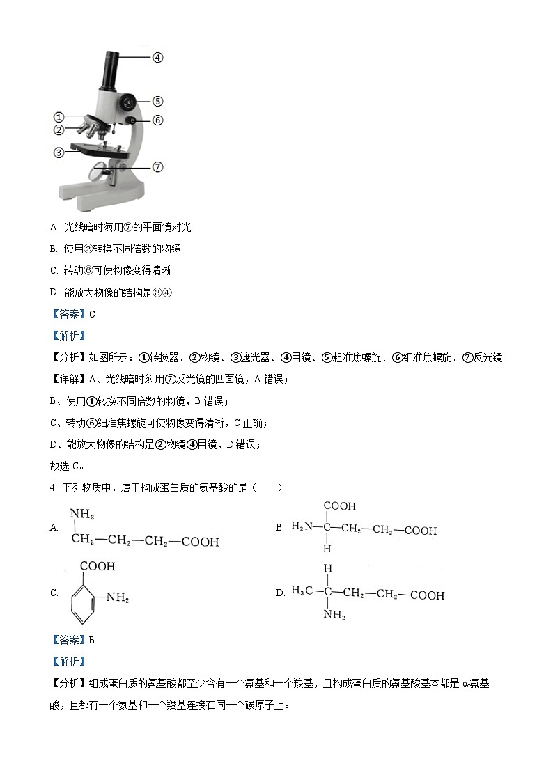 四川省雅安中学2024-2025学年高一上学期10月月考生物试题 Word版含解析第2页