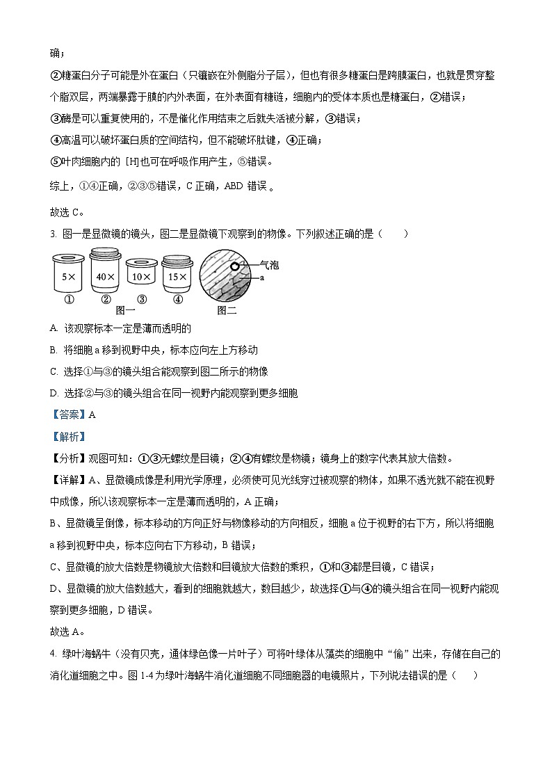 四川省自贡市第一中学校2024-2025学年高三上学期开学考试生物试题 Word版含解析第2页