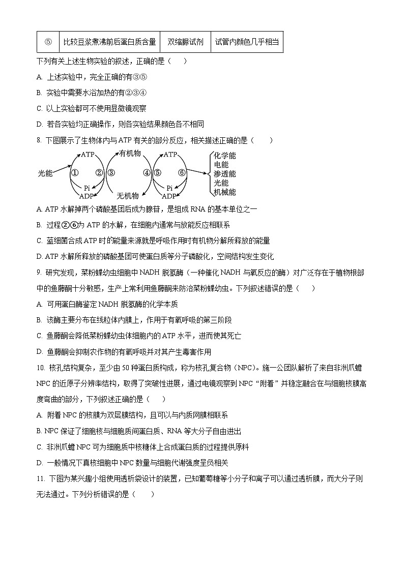 四川省自贡市第一中学校2024-2025学年高三上学期开学考试生物试题 Word版无答案第3页