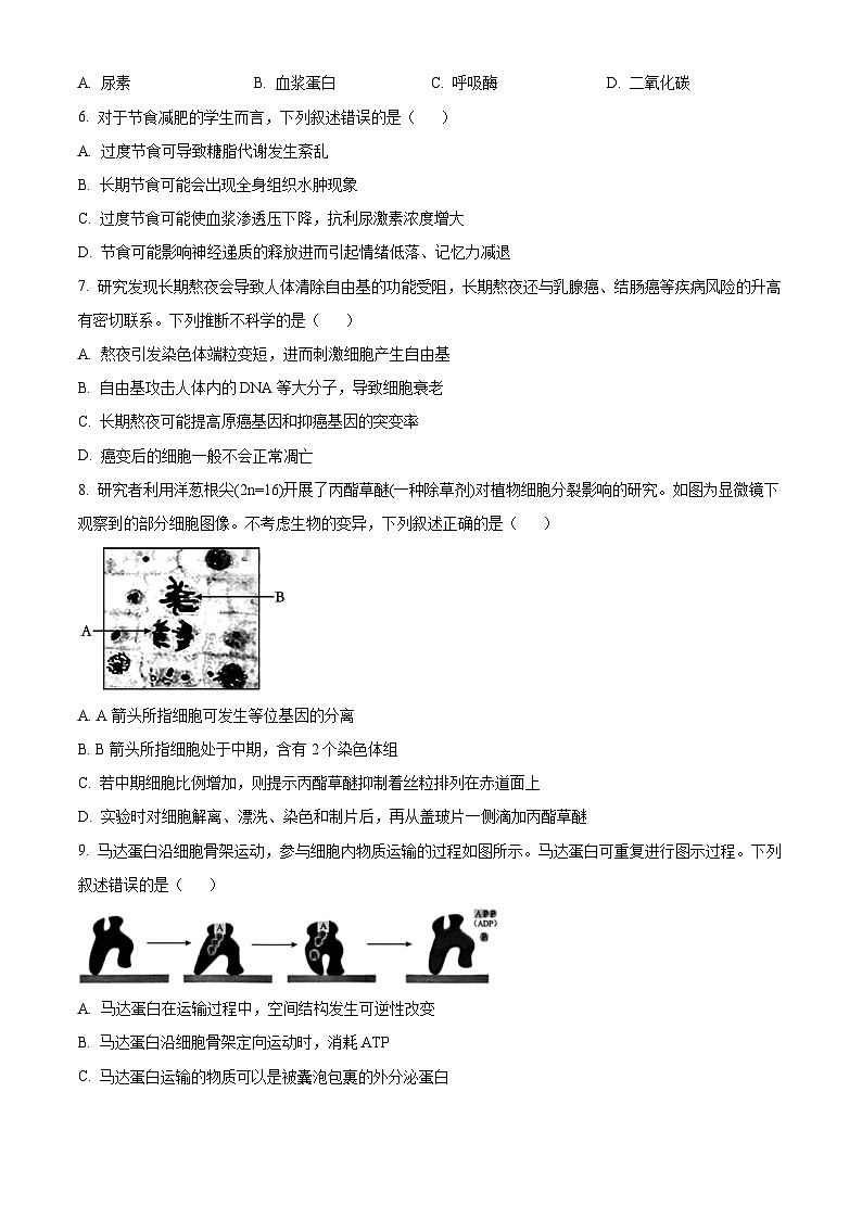 浙江省杭州市周边重点中学四校2024-2025学年高二上学期10月联考生物试卷（Word版附解析）02