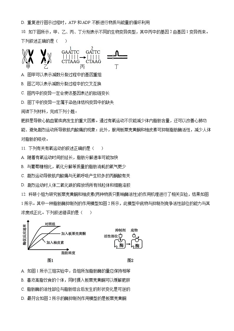 浙江省杭州市周边重点中学四校2024-2025学年高二上学期10月联考生物试卷（Word版附解析）03