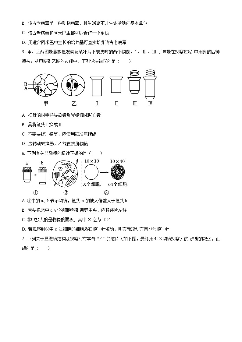 重庆市巴蜀中学2024-2025学年高一上学期10月月考生物试题 Word版无答案第2页