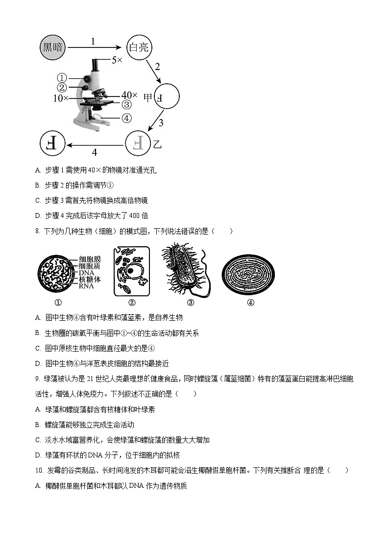 重庆市巴蜀中学2024-2025学年高一上学期10月月考生物试题 Word版无答案第3页