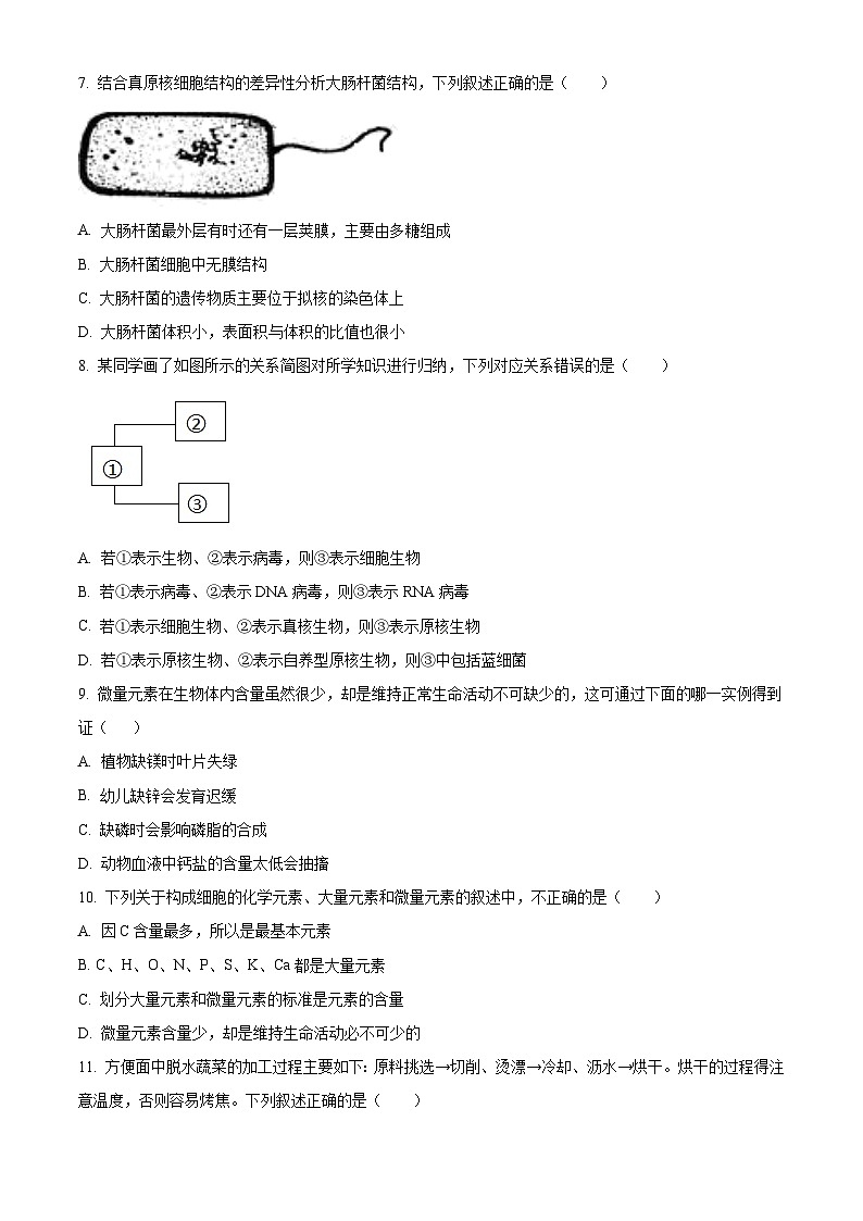 重庆市第八中学2024-2025学年高一上学期11月月考生物试卷（Word版附解析）02