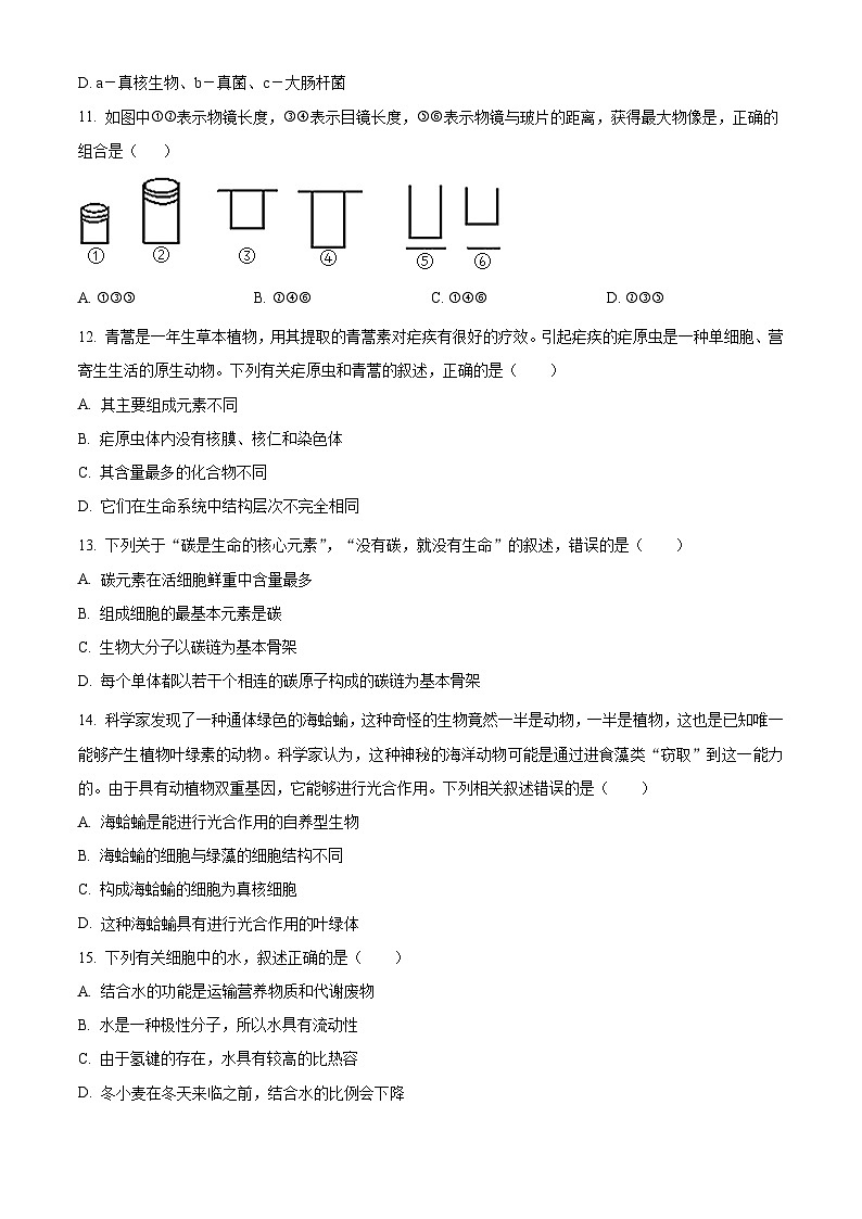 重庆市西南大学附属中学校2024-2025学年高一上学期10月月考生物试题 Word版无答案第3页