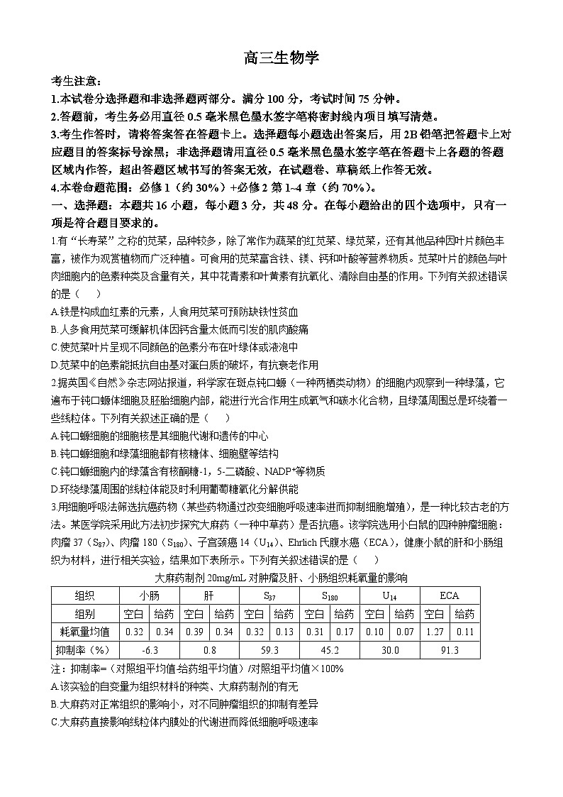 甘肃省2024-2025学年高三上学期11月期中生物试题第1页
