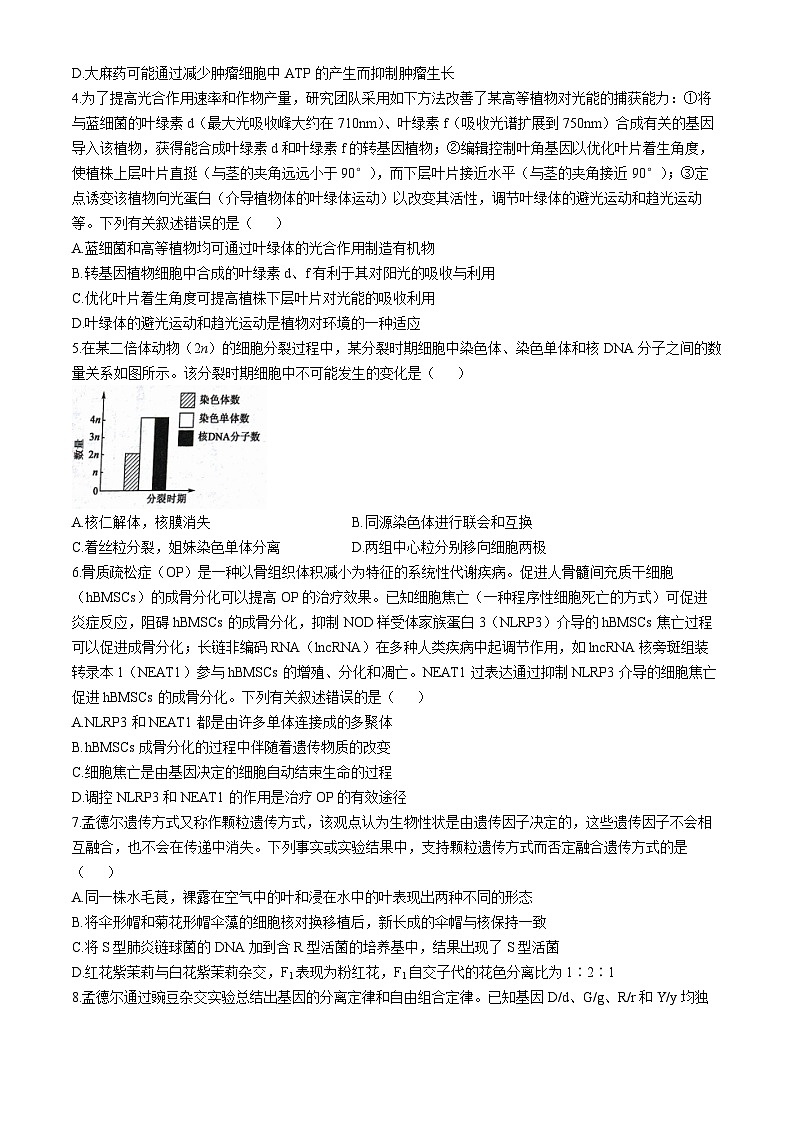 甘肃省2024-2025学年高三上学期11月期中生物试题第2页