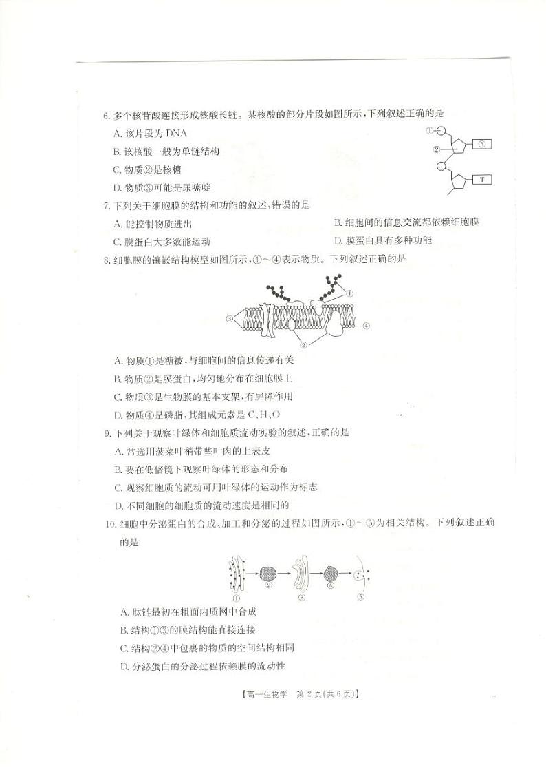 新疆兵地联盟2024-2025学年高一上学期期中联考生物试卷第2页