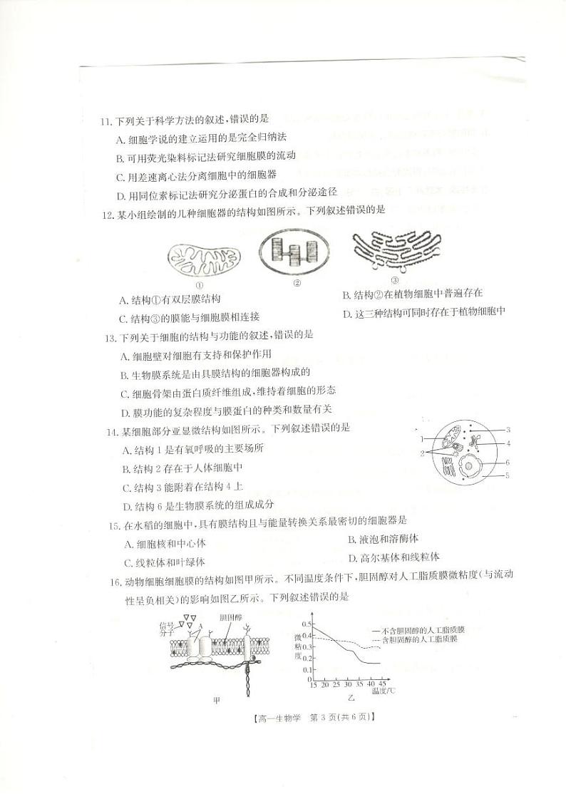 新疆兵地联盟2024-2025学年高一上学期期中联考生物试卷第3页