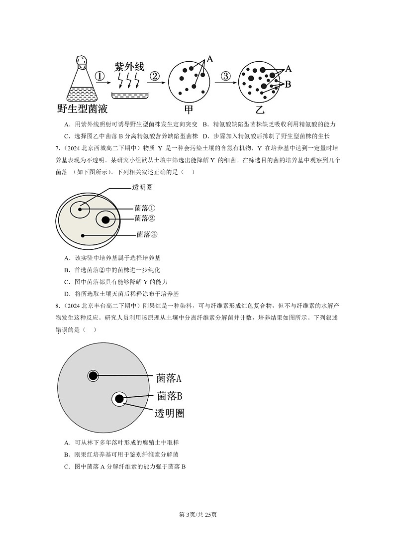 2024北京重点校高二下学期期中真题生物分类汇编：微生物培养技术及应用第3页