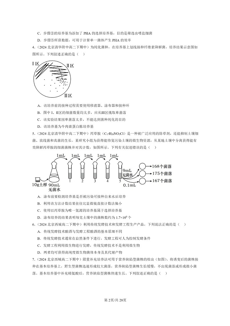 2024北京重点校高二下学期期中真题生物分类汇编：发酵工程章节综合（单选题）02