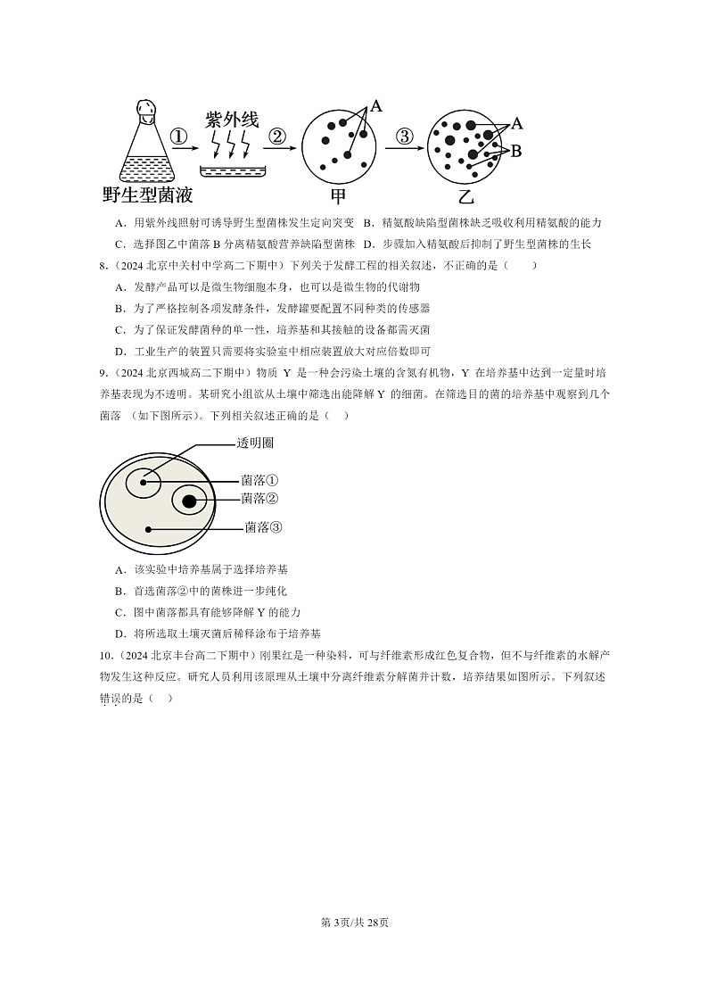 2024北京重点校高二下学期期中真题生物分类汇编：发酵工程章节综合（单选题）03