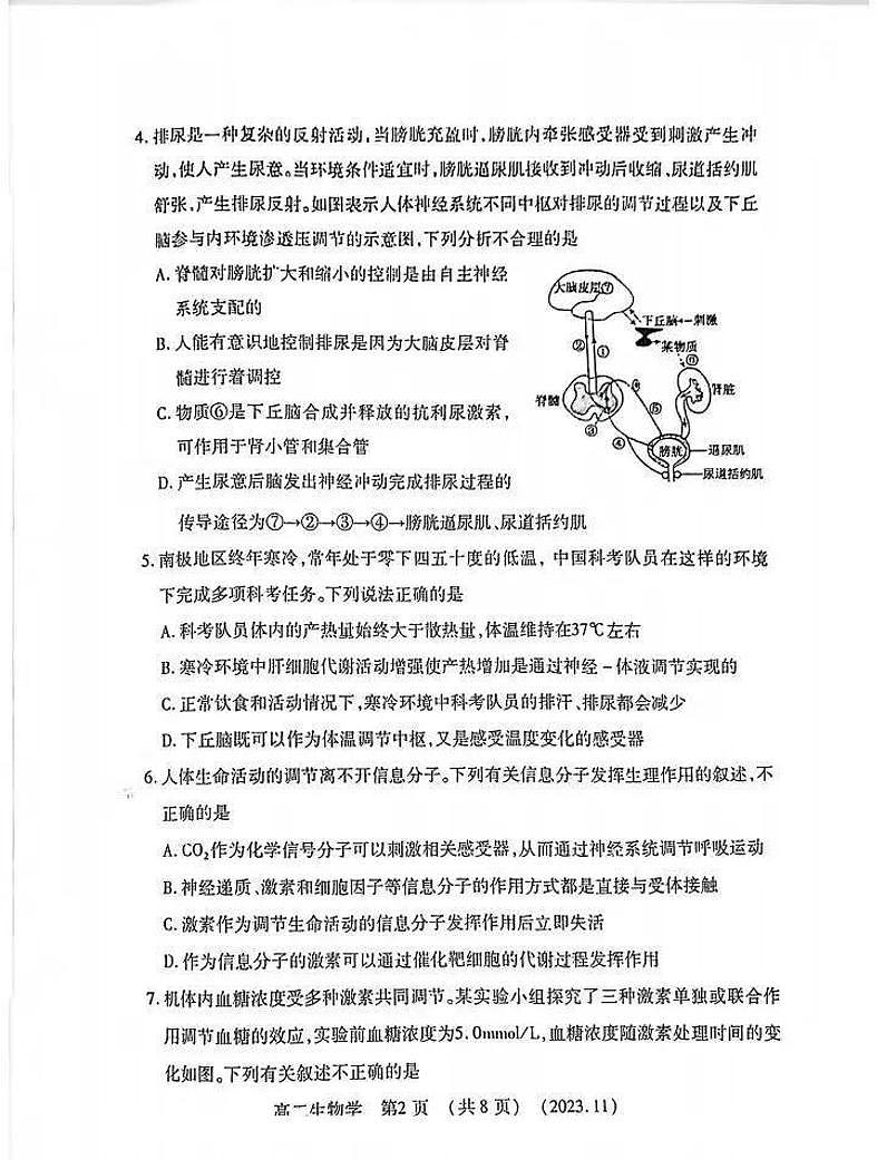 河南省洛阳市2023-2024学年高二上学期期中考试生物试卷（PDF版附答案）第2页