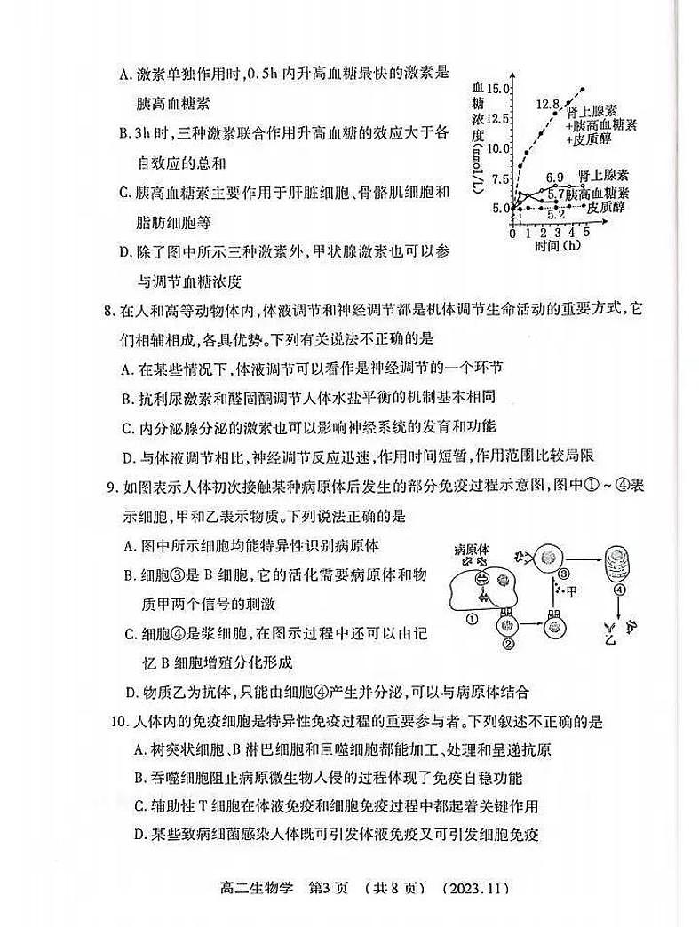 河南省洛阳市2023-2024学年高二上学期期中考试生物试卷（PDF版附答案）第3页