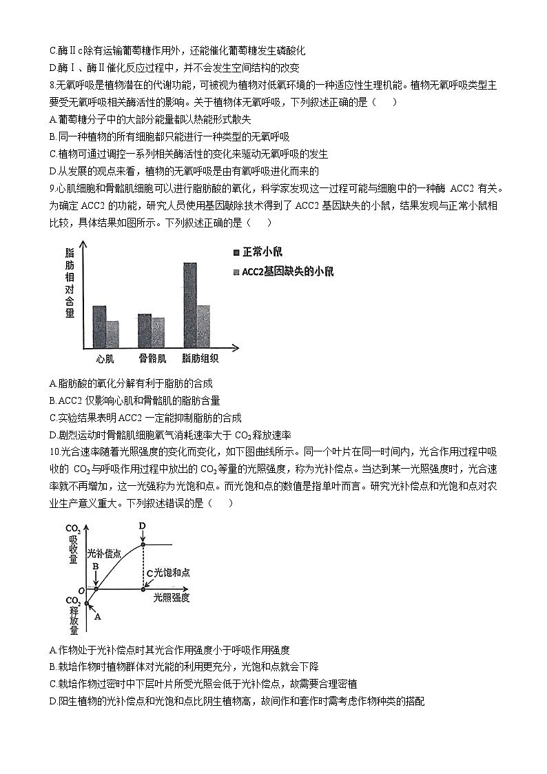 湖北省鄂东南省级示范高中教育教学改革联盟学校2024-2025学年高三上学期期中联考生物试卷（Word版附答案）03