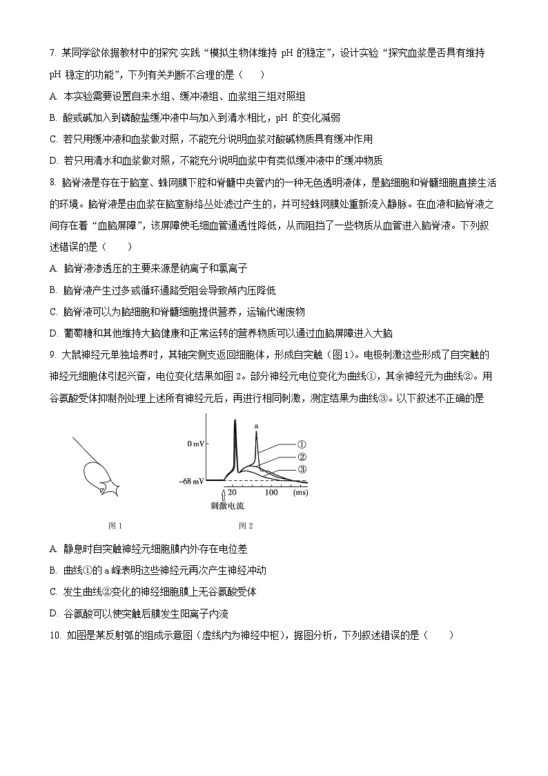 湖北省公安县第一中学2024-2025学年高二上学期10月段考生物试卷（Word版附解析）03