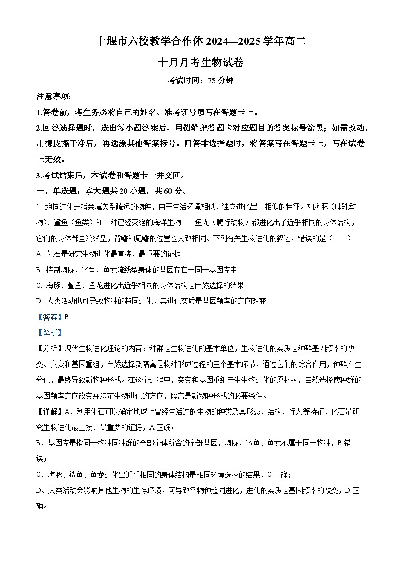 湖北省十堰市普通高中联合体2024-2025学年高二上学期10月月考生物试卷（Word版附解析）01
