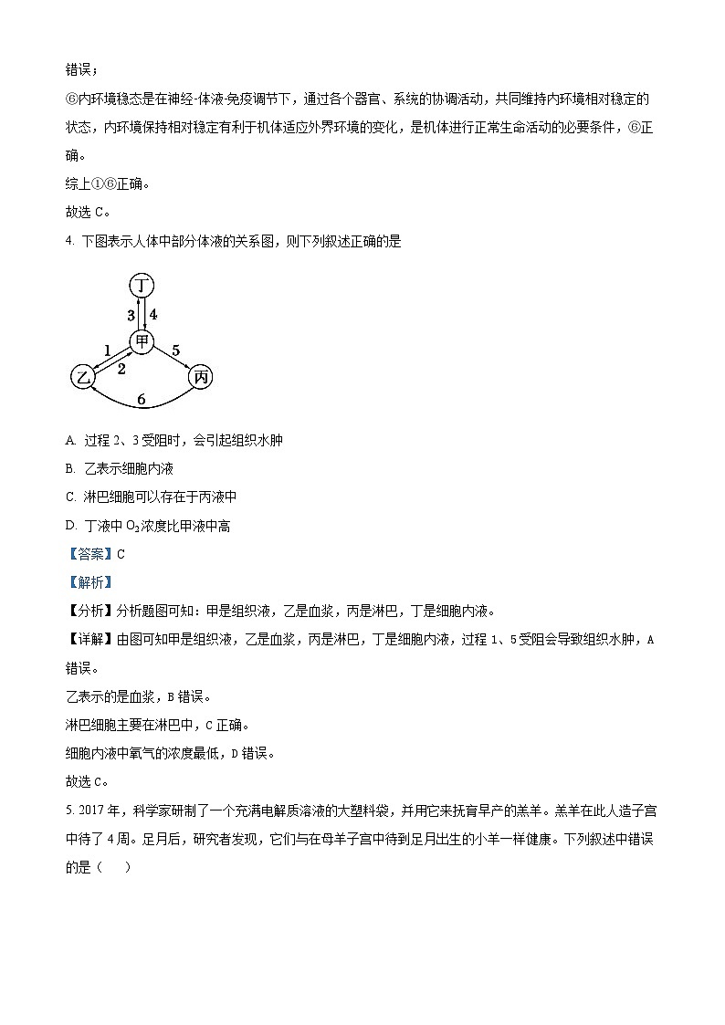 湖北省十堰市普通高中联合体2024-2025学年高二上学期10月月考生物试卷（Word版附解析）03